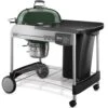 Weber PERFORMER® DELUXE CHARCOAL GRILL - 22 INCH GREEN -Outdoor Grilling - Weber metjmyjrhyoe