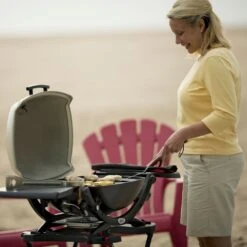 Weber Q2200 Portable Propane Gas Grill With Side Tables On Scissor Cart (WEB-54060001-WEB-6557) -Outdoor Grilling - Weber web 54060001 ls a 05 22