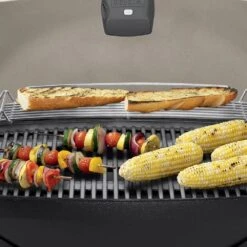 Weber Q3200 2-Burner Freestanding Gas Grill (WEB-Q3200) -Outdoor Grilling - Weber web q3200 config b 05 22